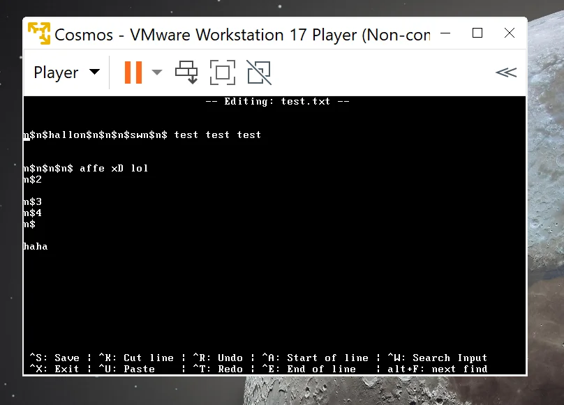 OSAFT text editor